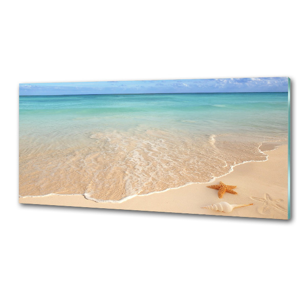 Panel para cocina Estrellas de mar en la playa