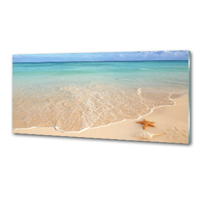 Panel para cocina Estrellas de mar en la playa