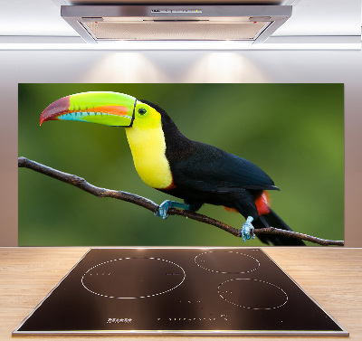 Panel de pared de cocina Tucán