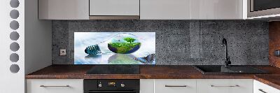 Panel de pared de cocina Recursos ecológicos