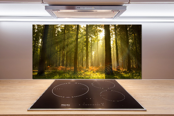 Panel de pared de cocina Bosque al sol