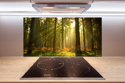 Panel de pared de cocina Bosque al sol