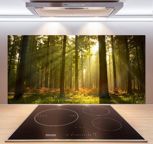Panel de pared de cocina Bosque al sol