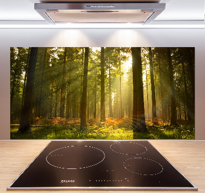 Panel de pared de cocina Bosque al sol