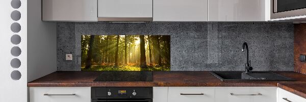 Panel de pared de cocina Bosque al sol