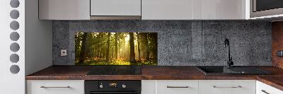 Panel de pared de cocina Bosque al sol