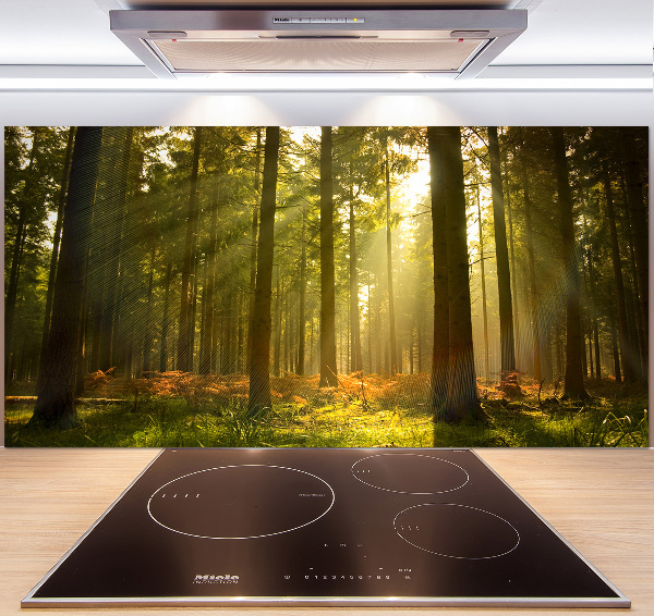 Panel de pared de cocina Bosque al sol