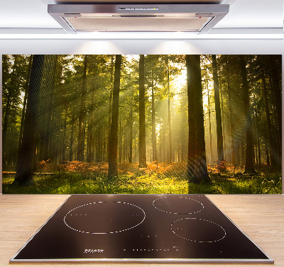 Panel de pared de cocina Bosque al sol