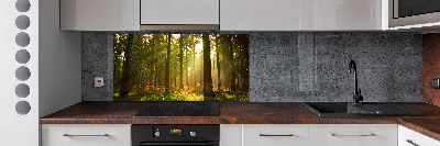 Panel de pared de cocina Bosque al sol