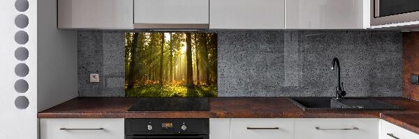 Panel de pared de cocina Bosque al sol