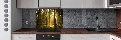 Panel de pared de cocina Bosque al sol