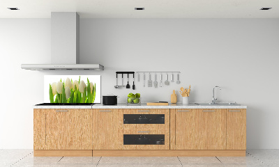 Panel antisalpicaduras Tulipanes