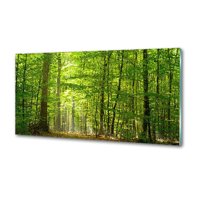 Panel antisalpicaduras Bosque caducifolio