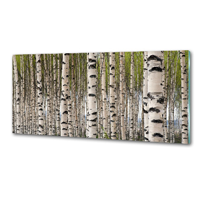 Panel antisalpicaduras bosque de abedules