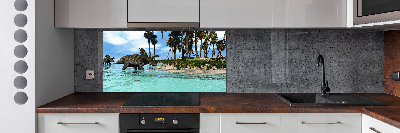 Panel para cocina Dinosaurios