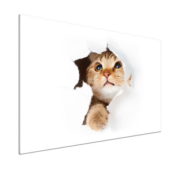 Salpicadero para cocina Gato en un agujero