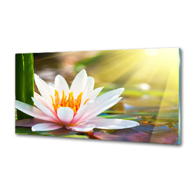 Panel para cocina Nenúfar