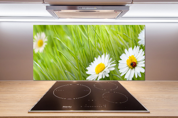 Panel między meble w kuchni Stokrotki