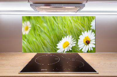 Salpicadero para cocina margaritas