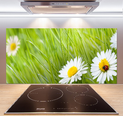 Salpicadero para cocina margaritas