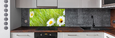 Salpicadero para cocina margaritas