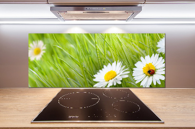 Salpicadero para cocina margaritas