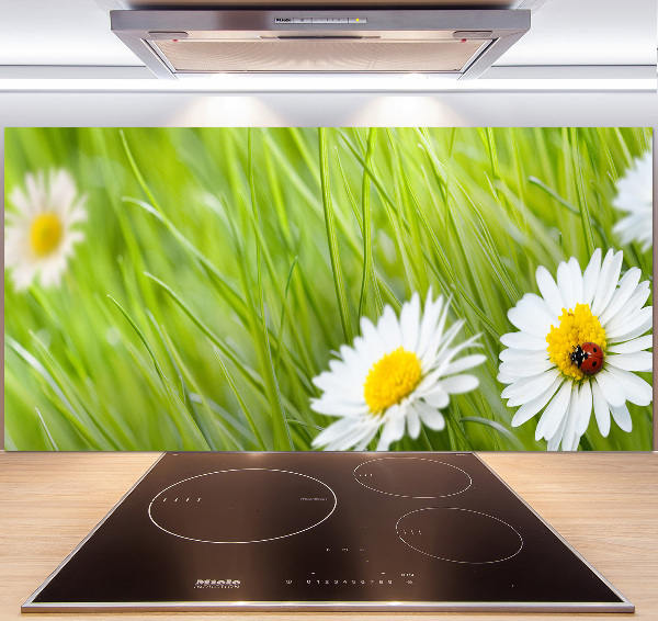 Panel między meble w kuchni Stokrotki