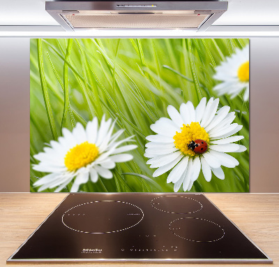 Salpicadero para cocina margaritas