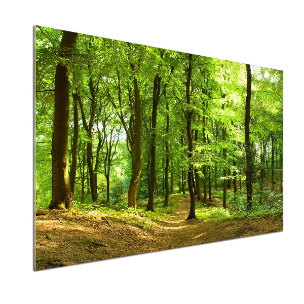 Salpicadero para cocina Camino forestal