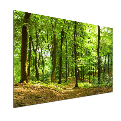 Salpicadero para cocina Camino forestal