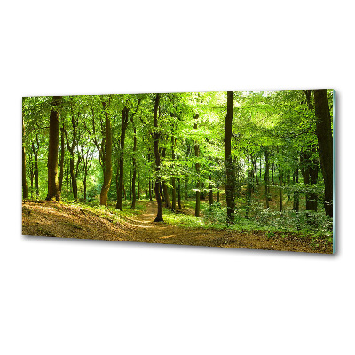 Panel do kuchni Leśna ścieżka