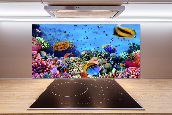 Panel de pared de cocina Arrecife de coral