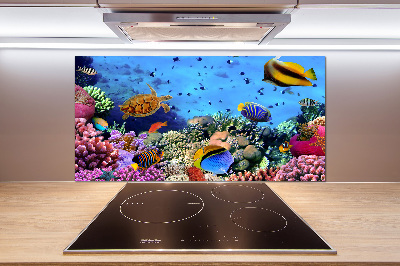 Panel de pared de cocina Arrecife de coral