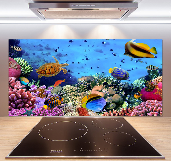 Panel de pared de cocina Arrecife de coral