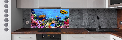 Panel de pared de cocina Arrecife de coral