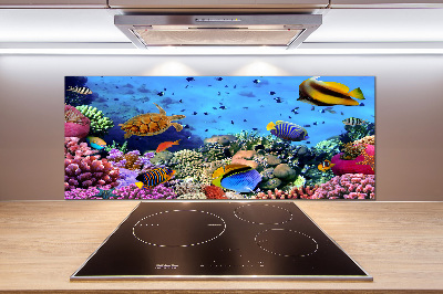 Panel de pared de cocina Arrecife de coral