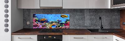 Panel de pared de cocina Arrecife de coral