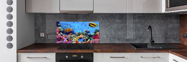Panel de pared de cocina Arrecife de coral