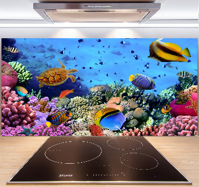 Panel de pared de cocina Arrecife de coral