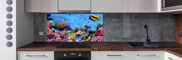 Panel de pared de cocina Arrecife de coral