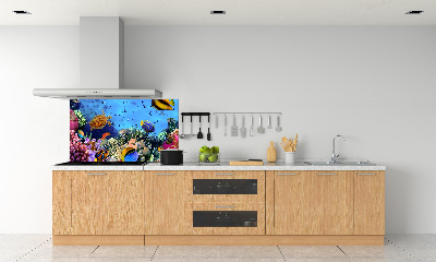 Panel de pared de cocina Arrecife de coral