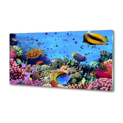 Panel de pared de cocina Arrecife de coral