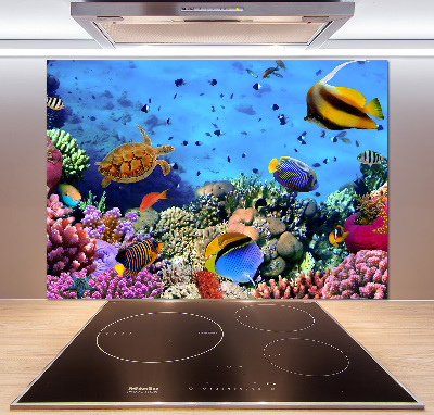 Panel de pared de cocina Arrecife de coral