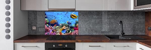 Panel de pared de cocina Arrecife de coral