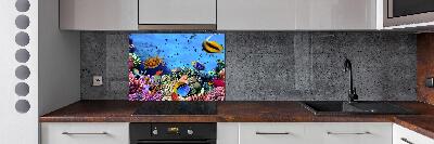 Panel de pared de cocina Arrecife de coral