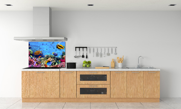Panel de pared de cocina Arrecife de coral