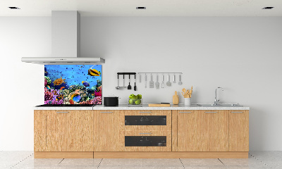 Panel de pared de cocina Arrecife de coral