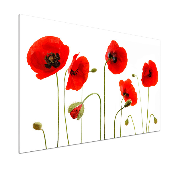 Panel de pared de cocina Amapolas