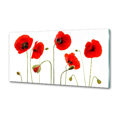 Panel de pared de cocina Amapolas