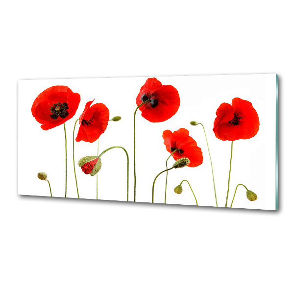 Panel de pared de cocina Amapolas